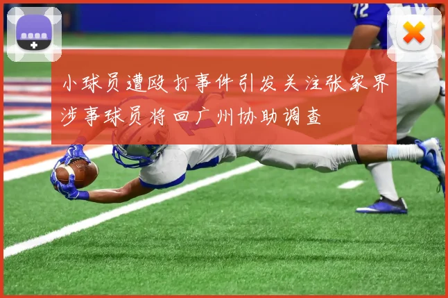 小球员遭殴打事件引发关注张家界涉事球员将回广州协助调查