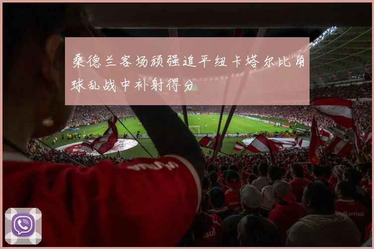 桑德兰客场顽强追平纽卡塔尔比角球乱战中补射得分