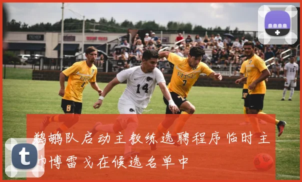 鹈鹕队启动主教练选聘程序临时主帅博雷戈在候选名单中