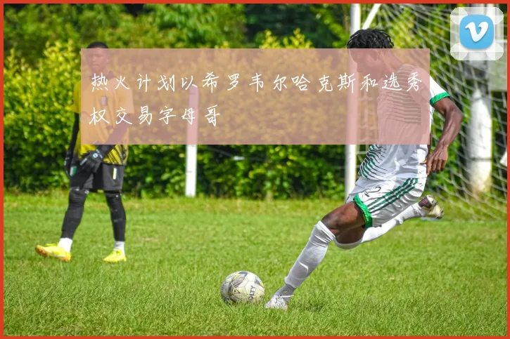 热火计划以希罗韦尔哈克斯和选秀权交易字母哥